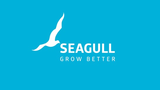 Seagull logo - blue background-1