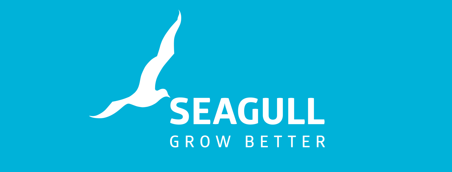 Seagull logo - blue background-2